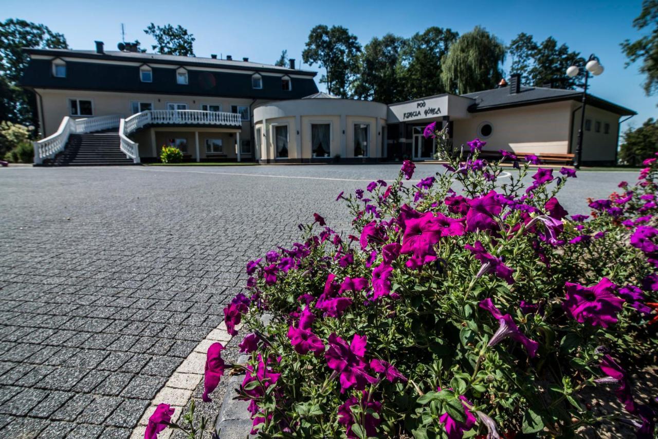 Hotel Pod Ksiecia Gorka Oleszyce Exterior foto